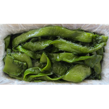 Wakame cru à faible teneur en calories aux algues