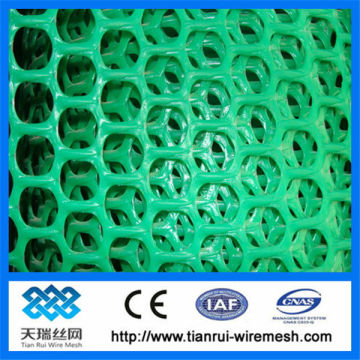Plastic flat mesh/plastic plain mesh/plastic mesh