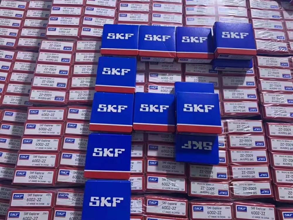 Skf Bearing