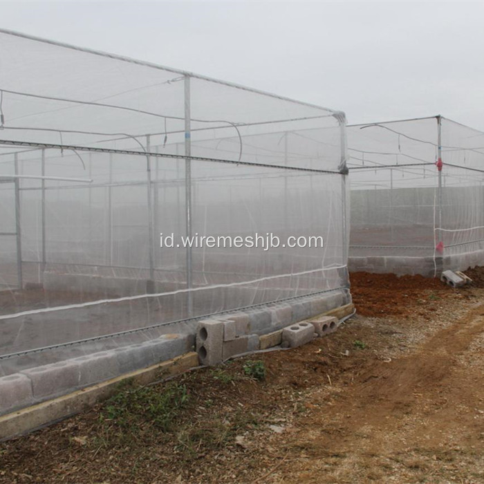 PE Fine Insect Mesh Untuk Kebun &amp; Sayuran