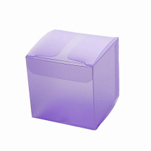 Custom PET PVC Clear Boxes Plastic Package Box