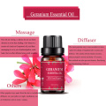 Geranium Essential Oil TopGrade Nature Oil For Bodycare