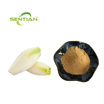 Chicory Root Extract Powder