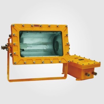 Marine Explosion-proof Floodlight