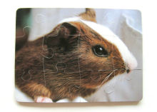 Promotional?magnetic Kids Toys, Magnetic Puzzle Diy Toys, Magnetic Darts