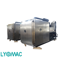 LYOMAC Vacuum Dryer: Industrial Herb Electric Oven & Air Dryer