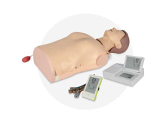 Half Body CPR Training Manikin–Smart Monitor