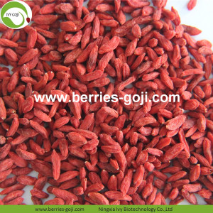 New Wholesale Dried Low Pesticide Goji Berries