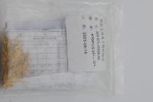 OEM Manufacturing Turned Parts Machining Services