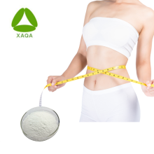 Rimonabant Powder 168273-06-1 High Quality Lose Weight