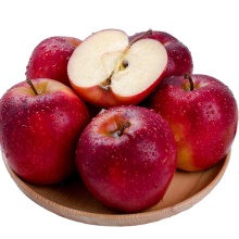 china high quality fruit fresh apple  price