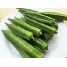 Chinese goedkopere plantaardige Okra