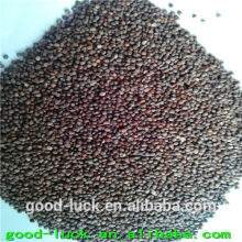 perilla seed price for bird feed(brown color)