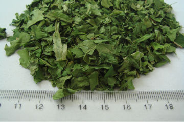 high quality AD Spinach Leaves price