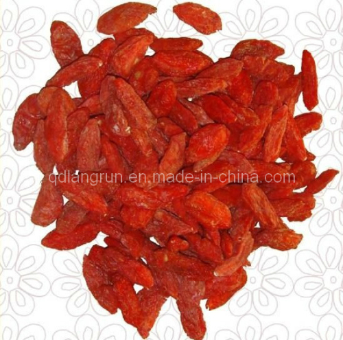 Goji Berries 2014 New Crop