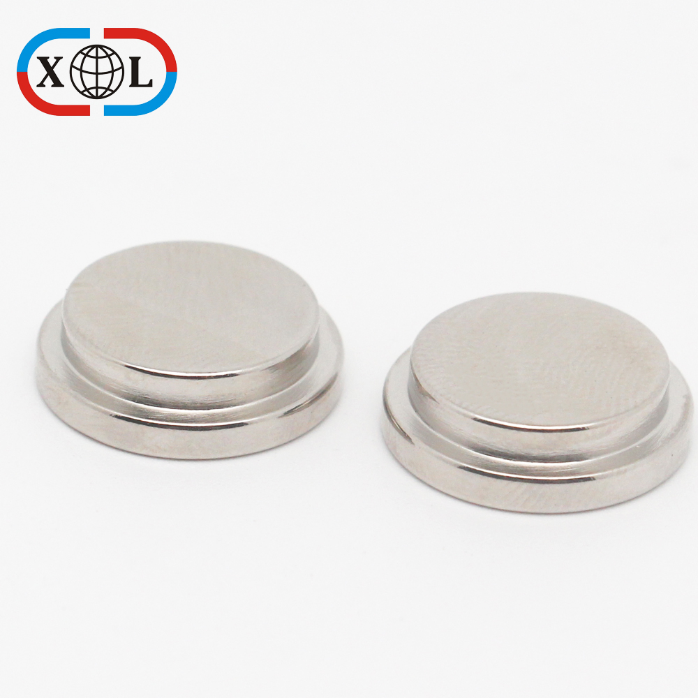 Sintered Neodymium Magnets