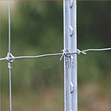Factory wholesale cheap fence studded T post