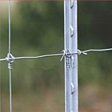 Factory wholesale cheap fence studded T post