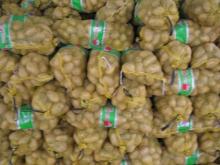 Chinese Fresh Potatoes Origin From Shandong