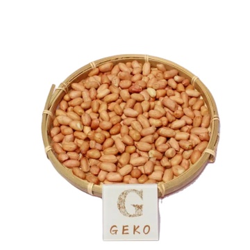 GEKO Food Hot Seller: Nutritious Peanut and Mixed Nuts