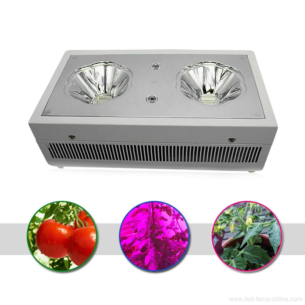 hydroponic vertical grow system 300W led grow light