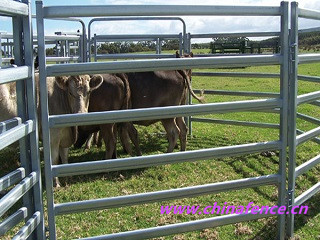 Horse Fence Galvanized