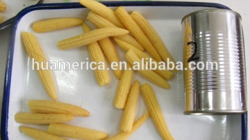 400g canned baby corn spear/cut in brine