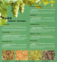 CCD COLOUR RASIN SORTER/PROCESSING MACHINE