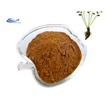 Herbal extracts sapindus saponaria sapindus mukorossi