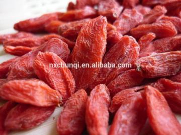 Dried Goji berry,Gojiberry,Wolfberry,Wolf berry,Lycium barbarum,Fructus lycii
