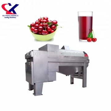 Industrial Cherry Juicer Machine: Cherry Juice Making Machine