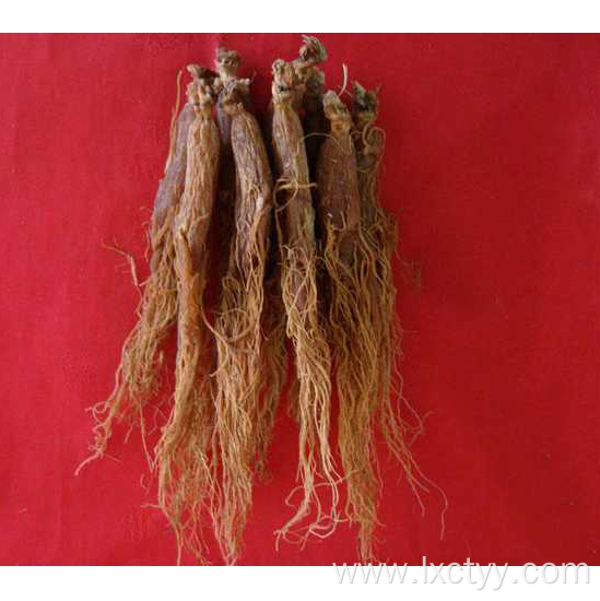 red korean ginseng extract