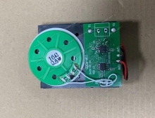 touch toy sound module