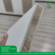 Advanced Marine Board for Watercraft Use