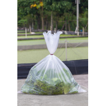 Disposable Fresh Food Storage Plastic Flat Bag