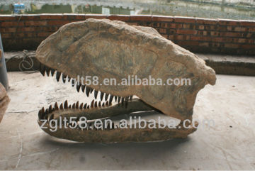 Dinosaur park real size fiberglass dinosaur skull for sale