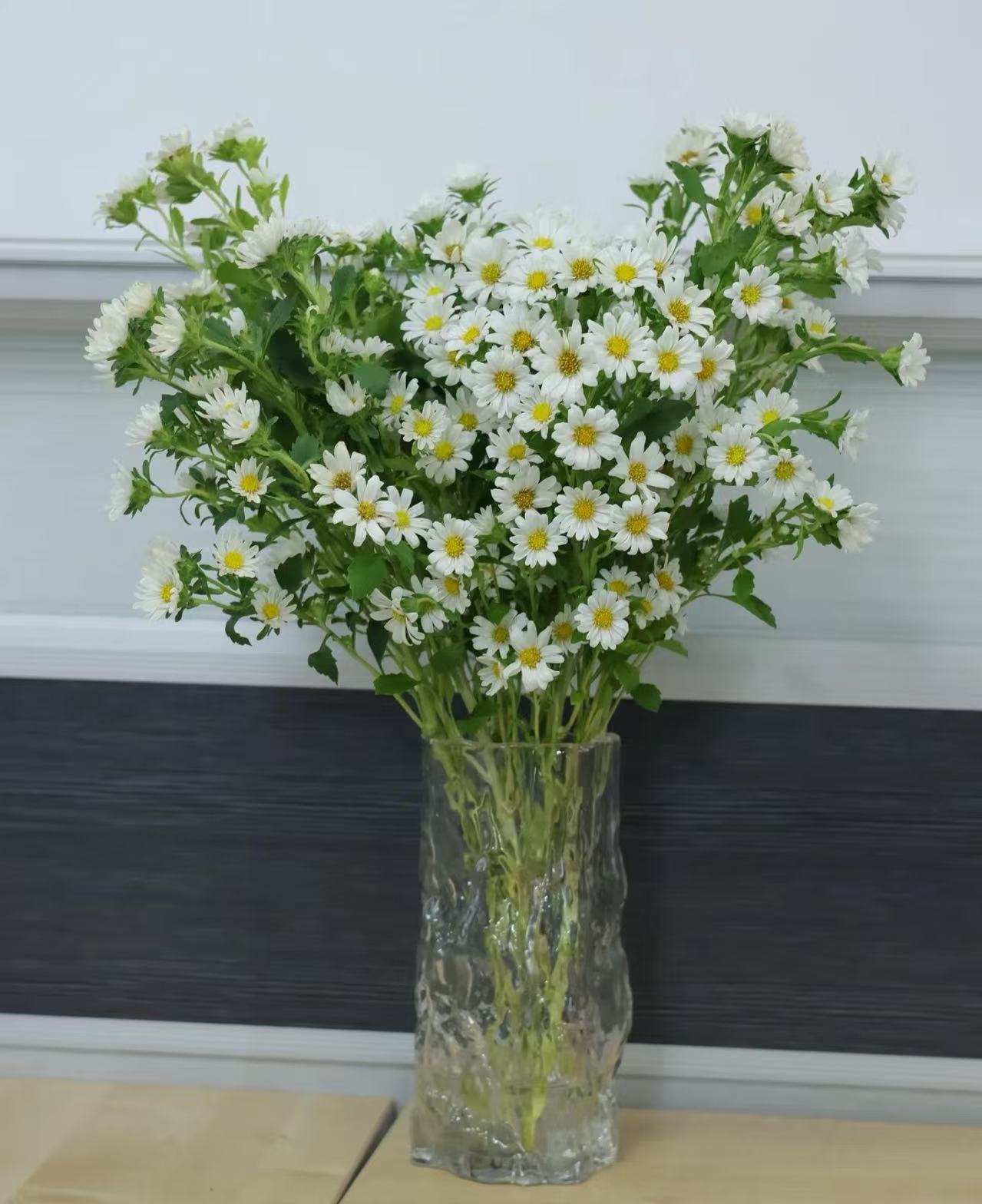 মিনি স্প্রে সাদা ক্রাইস্যান্থেমাম Mini Spray white chrysanthemum