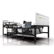 Pistachio and Raisin Sorter: Nut Sorting Machine