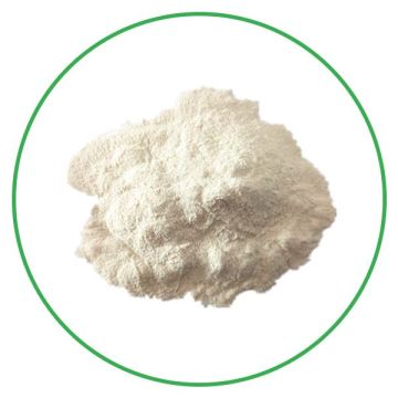 Wholesale pure natural organic banana powder for beverage