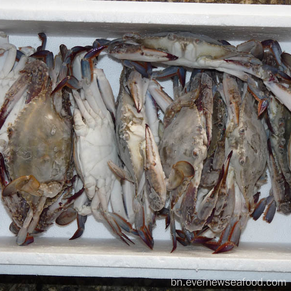 2018 লাইভ ফ্রেশ এবং হিমায়িত চাইনিজ কিং ক্র্যাব