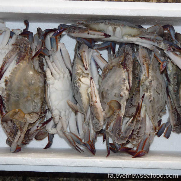 شاه خرچنگ چینی تازه و منجمد 2018 زنده