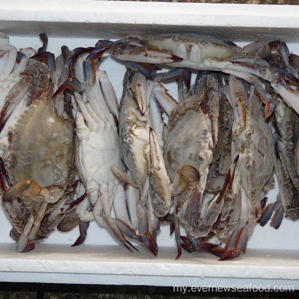 2018 တွင် လတ်ဆတ်ပြီး အေးခဲထားသော တရုတ်ဘုရင်ကဏန်းကို တိုက်ရိုက်ထုတ်လွှင့်သည်။