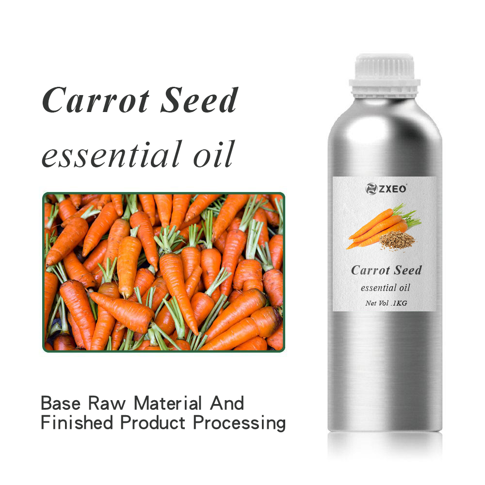 Supply Private Label 10ml 30ml 1kg High Quality Carrot Essential Oil for Face Lips Skin Hair Care Carrot Seed Oil