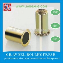 Hunan Steel Zinc Plating Rivnut