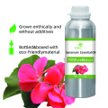 น้ำมันหอมระเหย Geranium Pure และธรรมชาติที่มีคุณภาพสูง 100% น้ำมันหอมระเหย Bluk สำหรับผู้ซื้อทั่วโลกในราคาที่ดีที่สุด