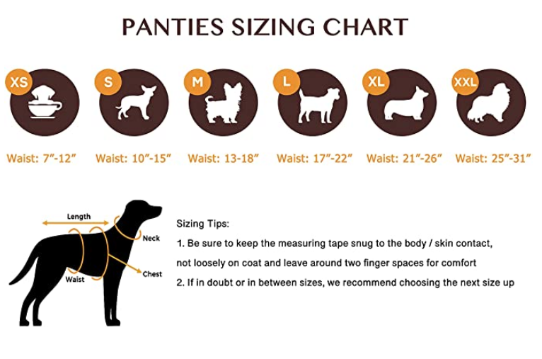 Dog Sanitary Pantie with Suspender