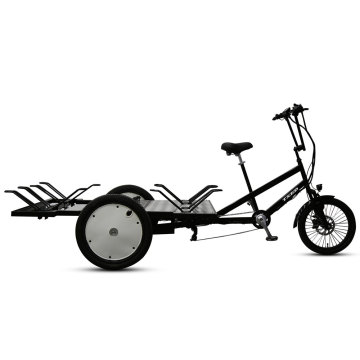 New Style Electric Cargo Trike with Bike Share Stand - TXED Flatbed Cargo Tricycle