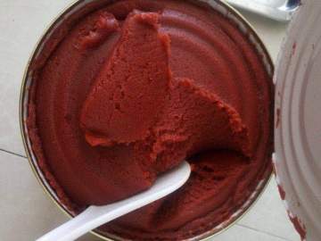 organic tomato paste bulk salsa tomato paste making machine