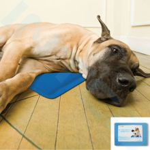 cool gel pet mat