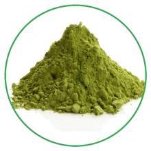True superfood organic Alfalfa powder with best price
